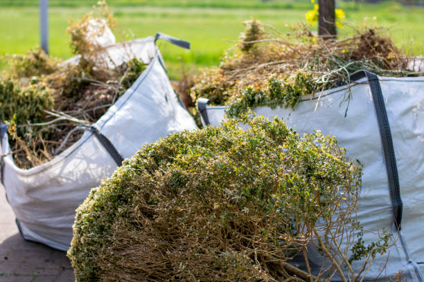 Best Basement Cleanout Services  in Norris City, IL