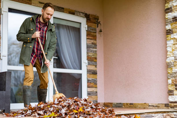 Best Yard Waste Removal  in Norris City, IL