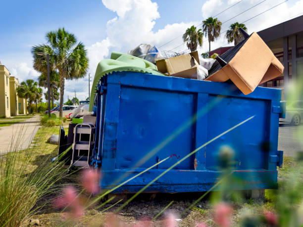 Attic Cleanout Services in Norris City, IL